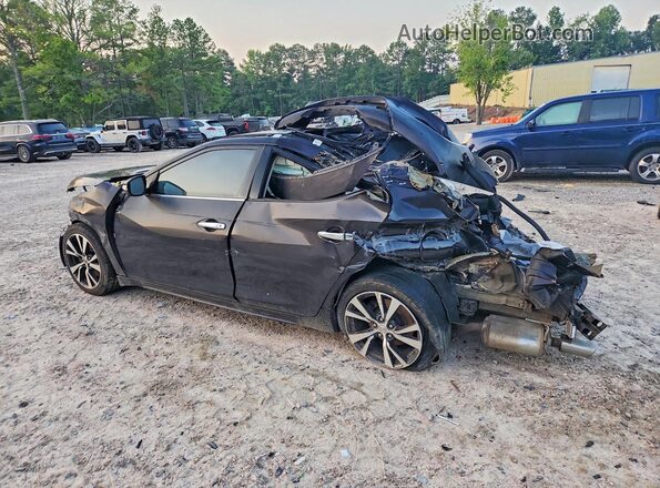 1N4AA6AP5GC429262 2016 NISSAN MAXIMA Black Rear left