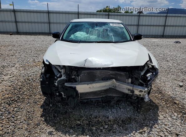 1N4AA6AP5HC394790 2017 NISSAN MAXIMA White წინა ხედი