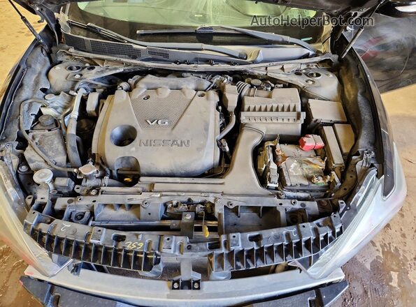 1N4AA6AP5HC428422 2017 NISSAN MAXIMA Черный Вид задней части салона
