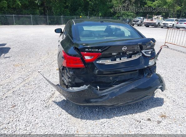 1N4AA6AP5HC445527 2017 NISSAN MAXIMA Black Вид спереду