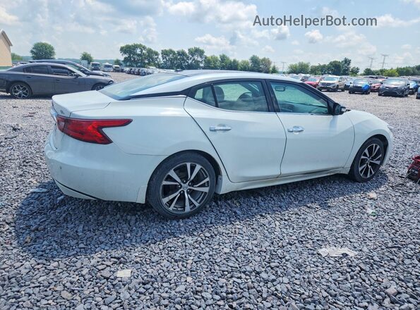 1N4AA6AP5HC453496 2017 NISSAN MAXIMA White უკანა მარჯვენა