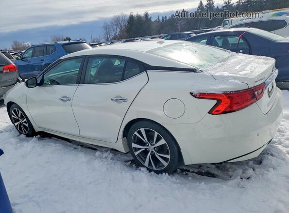 1N4AA6AP6GC419307 2016 NISSAN MAXIMA Белый Задняя левая четверть