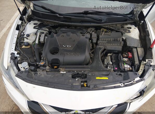 1N4AA6AP6HC365072 2017 NISSAN MAXIMA White Widok z tyłu