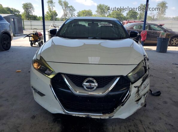 1N4AA6AP6HC389436 2017 NISSAN MAXIMA White Widok z przodu