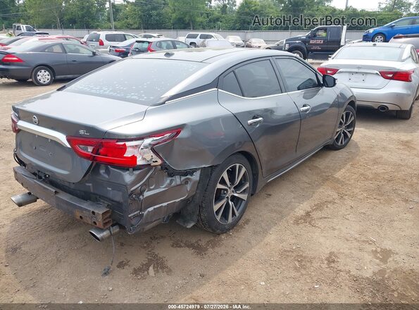 1N4AA6AP6HC434973 2017 NISSAN MAXIMA Gray Tył prawy