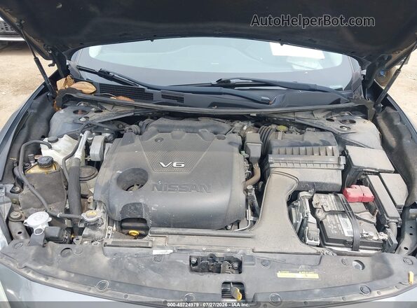 1N4AA6AP6HC434973 2017 NISSAN MAXIMA Gray Widok z tyłu
