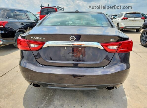 1N4AA6AP7GC389301 2016 NISSAN MAXIMA Black უკანა ხედი