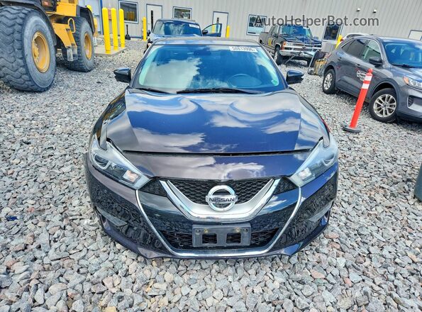 1N4AA6AP7GC405092 2016 NISSAN MAXIMA Темно-бордовый Вид спереди