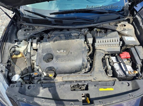 1N4AA6AP7GC405092 2016 NISSAN MAXIMA Темно-бордовый Вид задней части салона