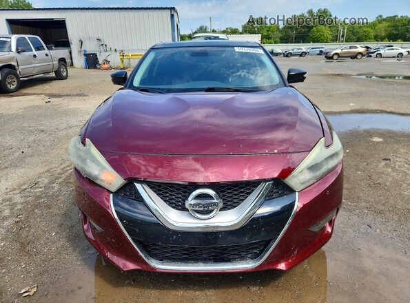 1N4AA6AP7GC415153 2016 NISSAN MAXIMA Burgundy Front view