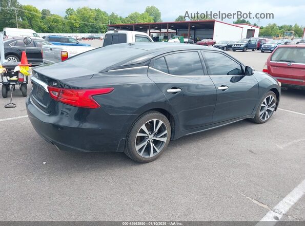 1N4AA6AP7GC442739 2016 NISSAN MAXIMA Black უკანა მარჯვენა