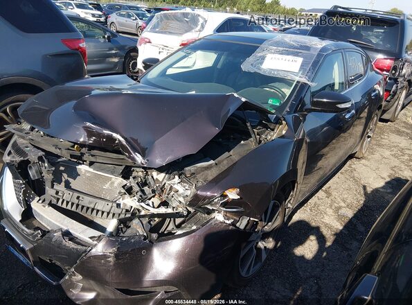1N4AA6AP7GC900215 2016 NISSAN MAXIMA Purple Передня ліва чверть