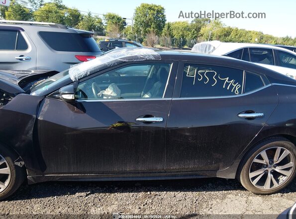 1N4AA6AP7GC900215 2016 NISSAN MAXIMA Purple 