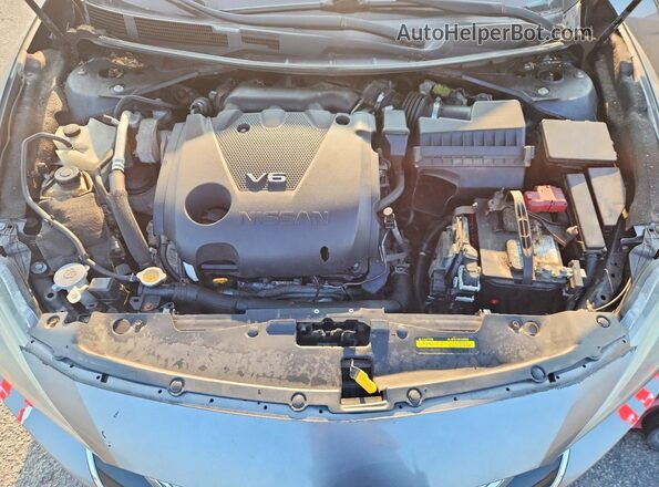 1N4AA6AP7HC384410 2017 NISSAN MAXIMA Silver Սալոնի հետևի տեսք