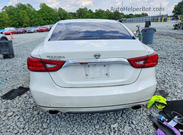 1N4AA6AP7HC435033 2017 NISSAN MAXIMA White Widok z tyłu