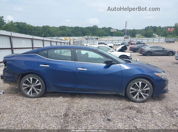 1N4AA6AP7HC439339 2017 NISSAN MAXIMA Blue Սալոնի հետևի տեսք