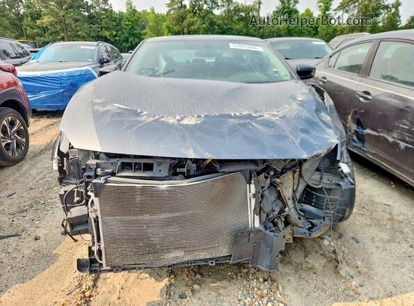 1N4AA6AP7HC450762 2017 NISSAN MAXIMA Gray Widok z przodu