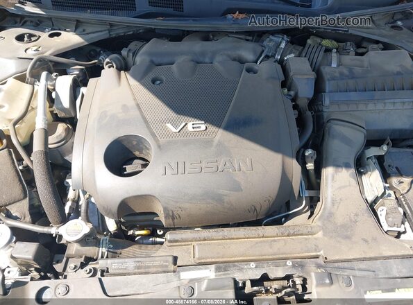 1N4AA6AP8GC389808 2016 NISSAN MAXIMA Brown Widok z tyłu
