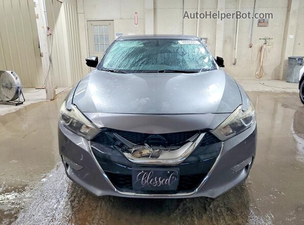 1N4AA6AP8GC412262 2016 NISSAN MAXIMA Gray Widok z przodu