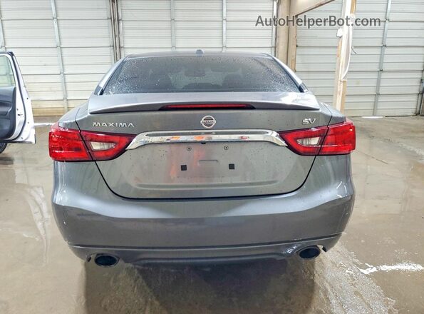 1N4AA6AP8GC412262 2016 NISSAN MAXIMA Gray Widok z tyłu