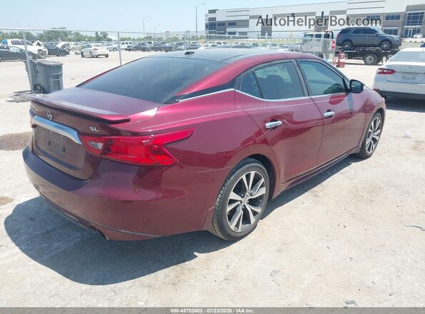 1N4AA6AP8GC448050 2016 NISSAN MAXIMA Red უკანა მარჯვენა