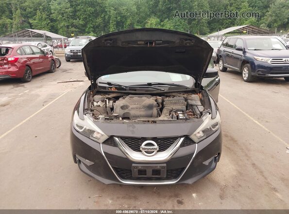 1N4AA6AP8HC369205 2017 NISSAN MAXIMA Черный Вид сзади