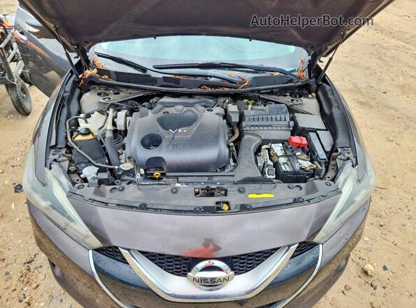 1N4AA6AP9GC417230 2016 NISSAN MAXIMA Brown Rear interior view