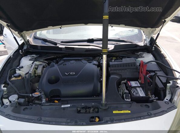 1N4AA6AP9GC430205 2016 NISSAN MAXIMA Белый Вид сзади