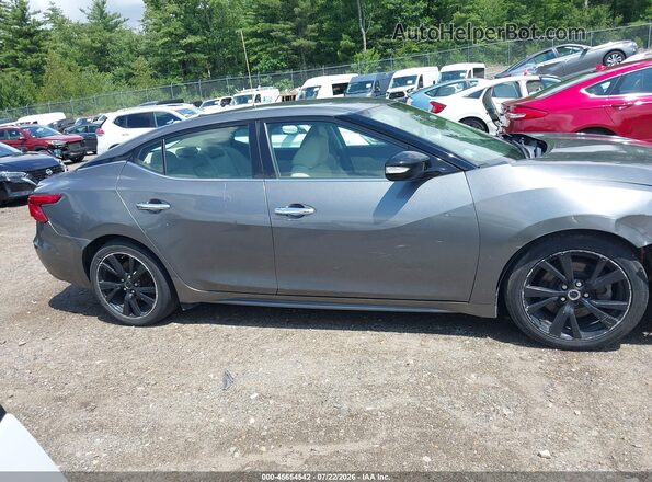 1N4AA6AP9HC412840 2017 NISSAN MAXIMA Gray Սալոնի հետևի տեսք
