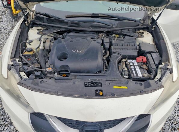 1N4AA6AP9HC439326 2017 NISSAN MAXIMA White Սալոնի հետևի տեսք