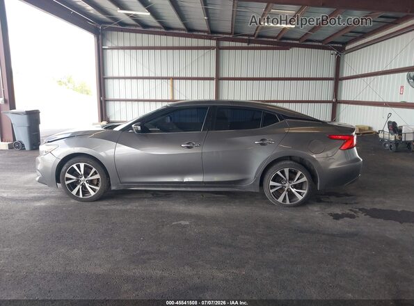 1N4AA6APXGC432061 2016 NISSAN MAXIMA Gray Սալոնի հետևի տեսք