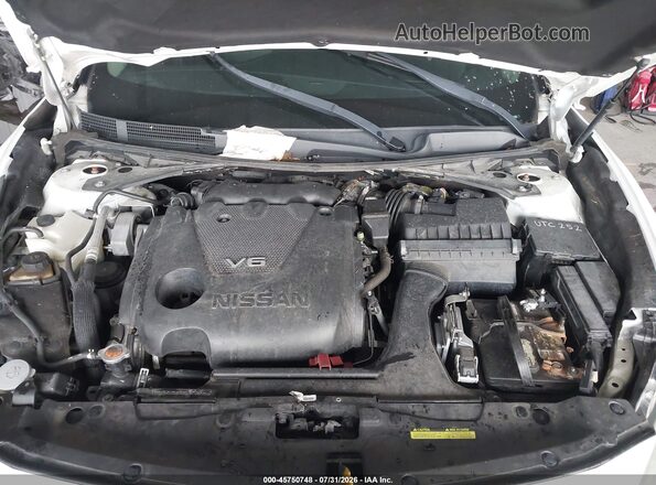 1N4AA6APXHC399953 2017 NISSAN MAXIMA White Widok z tyłu