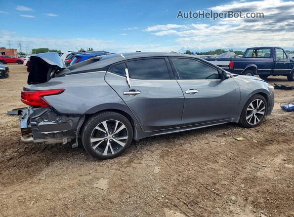 1N4AA6APXHC450786 2017 NISSAN MAXIMA Gray უკანა მარჯვენა