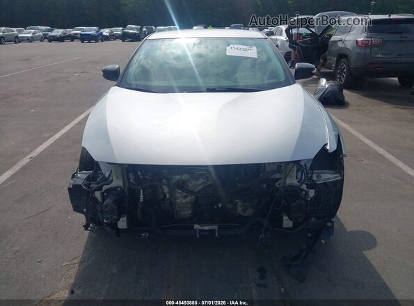 1N4AA6AV4KC365545 2019 NISSAN MAXIMA Silver Սալոնի հետևի տեսք