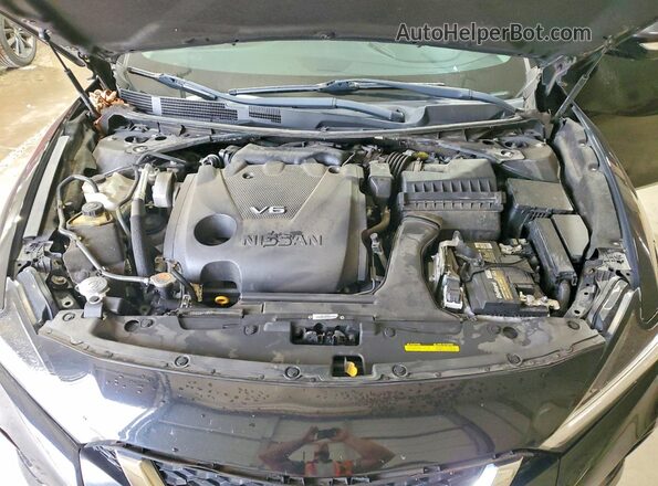 1N4AA6AV6KC364834 2019 NISSAN MAXIMA Черный Вид задней части салона