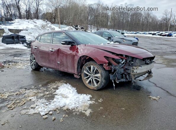 1N4AA6AV8KC374734 2019 NISSAN MAXIMA Burgundy Առջևի աջ
