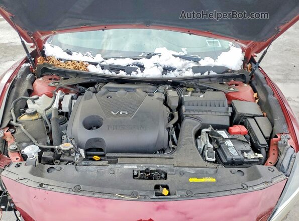 1N4AA6AV8KC374734 2019 NISSAN MAXIMA Burgundy Սալոնի հետևի տեսք