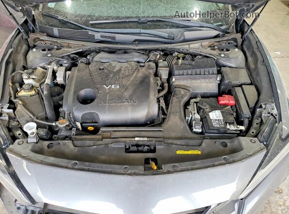 1N4AA6CV3LC371304 2020 NISSAN MAXIMA Gray Սալոնի հետևի տեսք