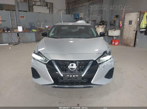 1N4AA6CV4PC512161 2023 NISSAN MAXIMA Серебряный 