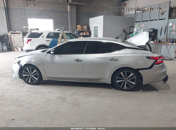 1N4AA6CV4PC512161 2023 NISSAN MAXIMA Серебряный 