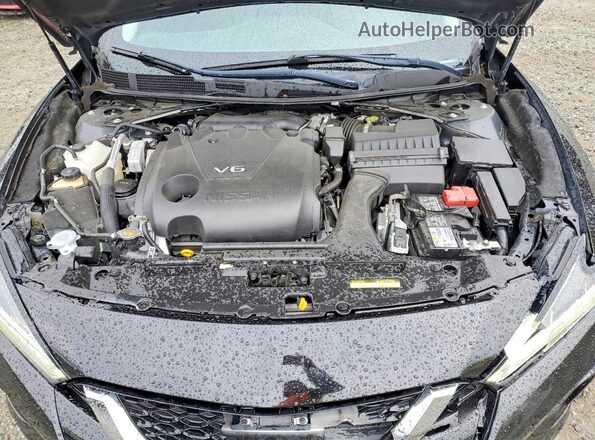 1N4AA6CV5LC379081 2020 NISSAN MAXIMA Черный Вид задней части салона