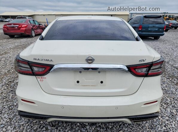 1N4AA6CV5MC513315 2021 NISSAN MAXIMA White Rear view