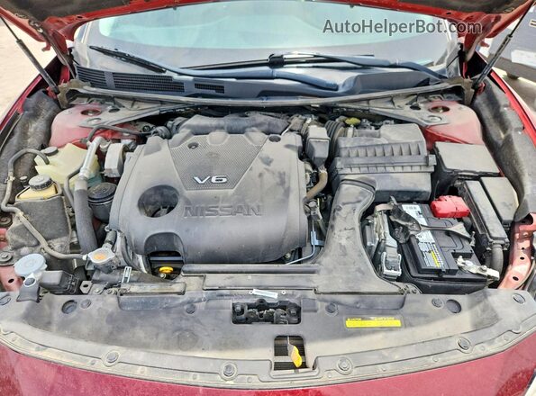 1N4AA6CV6LC379428 2020 NISSAN MAXIMA Burgundy Սալոնի հետևի տեսք