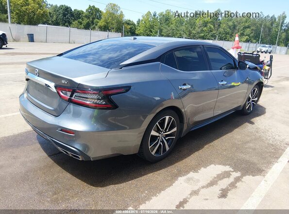 1N4AA6CV7MC505913 2021 NISSAN MAXIMA Gray Trasero derecho