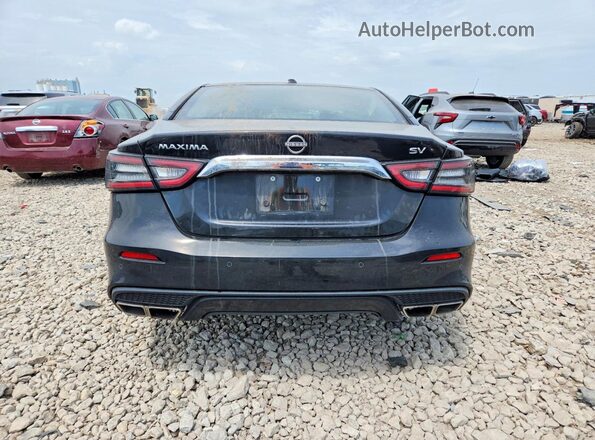 1N4AA6CV9PC508865 2023 NISSAN MAXIMA Black უკანა ხედი