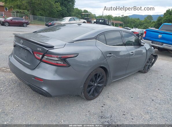 1N4AA6EV4MC516591 2021 NISSAN MAXIMA Gray Հետևի աջ