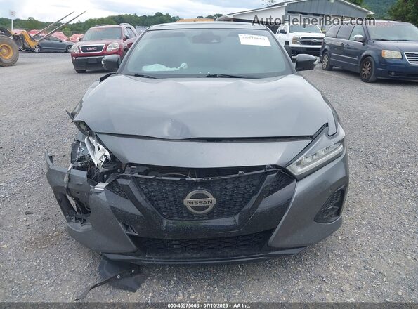 1N4AA6EV4MC516591 2021 NISSAN MAXIMA Gray Սալոնի հետևի տեսք