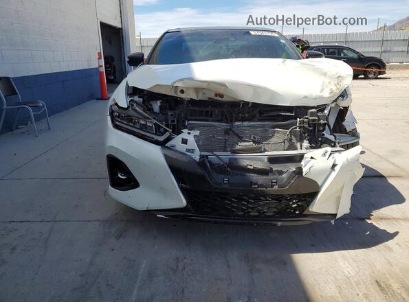 1N4AA6EV7PC504620 2023 NISSAN MAXIMA White Vista frontal