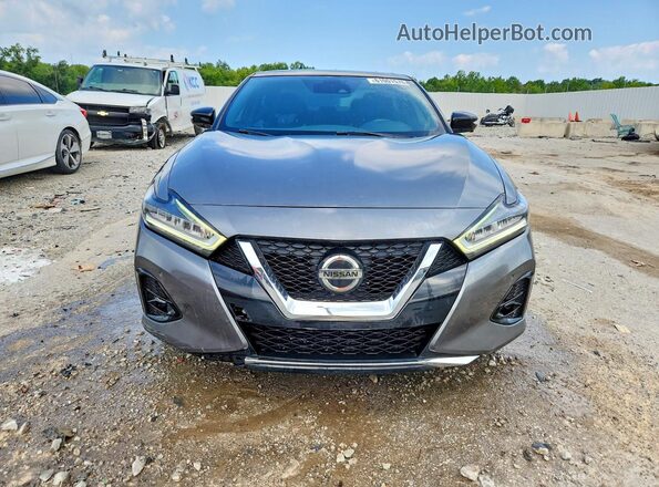 1N4AA6EV8LC378035 2020 NISSAN MAXIMA Gray Widok z przodu