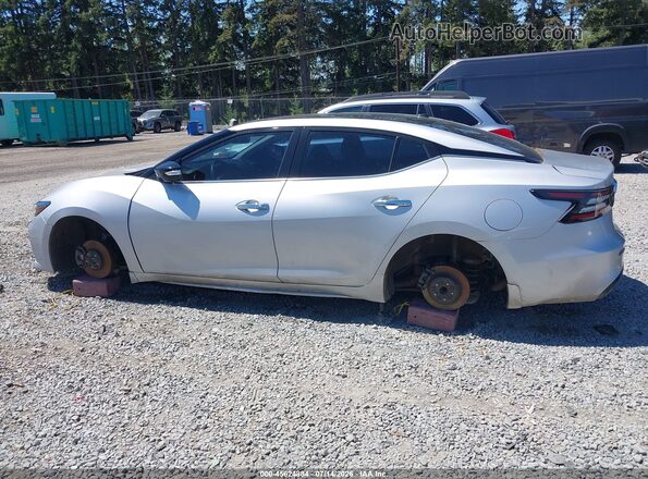 1N4AA6FV0LC364628 2020 NISSAN MAXIMA Серебряный Панорамный вид салона 360°